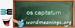 WordMeaning blackboard for os capitatum